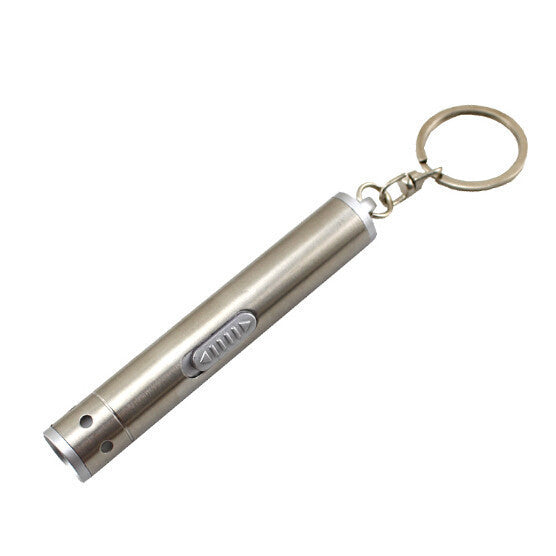 **FREE** Stainless Steel Mini Flashlight - Beautifiable